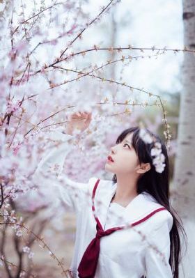 99se精品视频在线观看_BD国语在线观看完整版